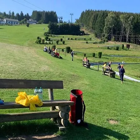 Bei Mit Garten, Cleaning Included Willingen (Upland)